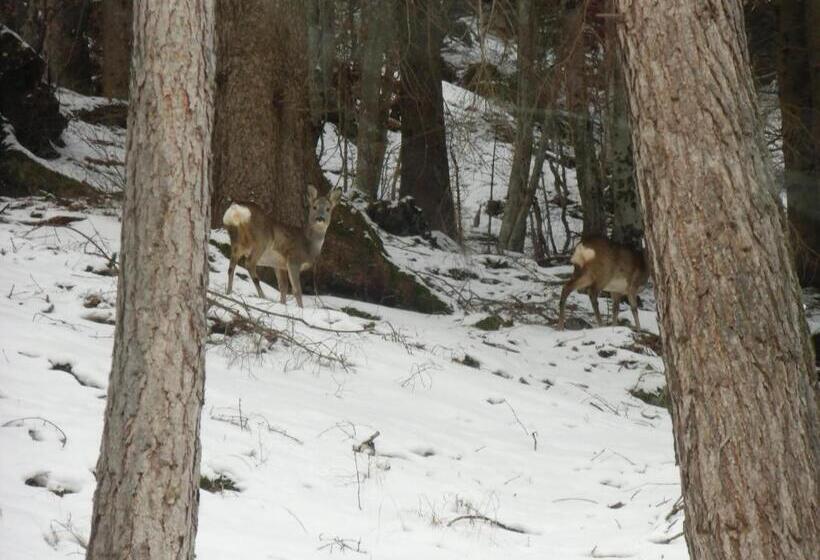 فندق Locanda La Ruscoletta