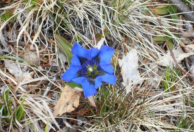 فندق Locanda La Ruscoletta