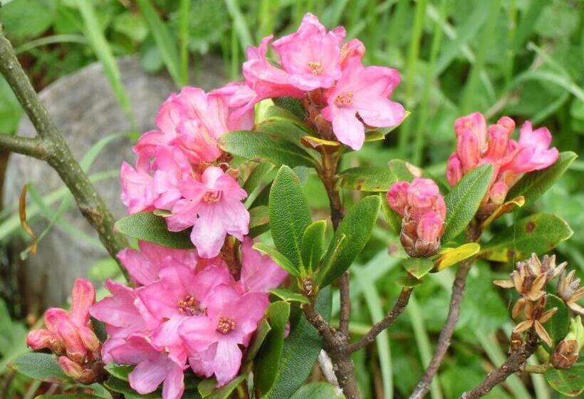 فندق Locanda La Ruscoletta