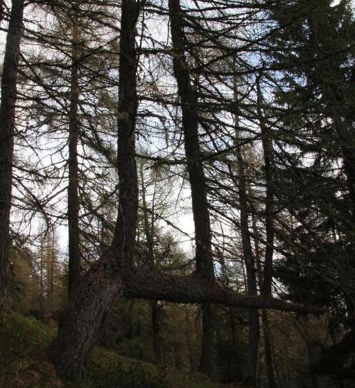 فندق Locanda La Ruscoletta