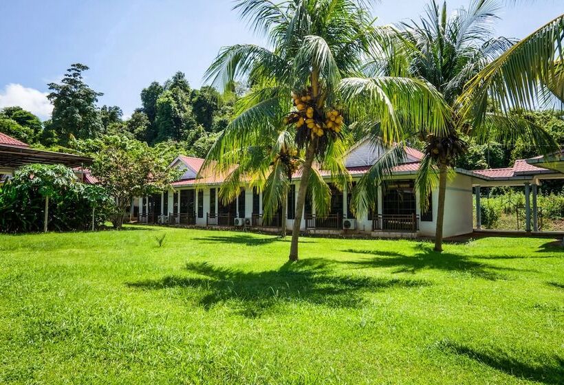 فندق Oyo 44033 Terap Inn Kuala Nerang