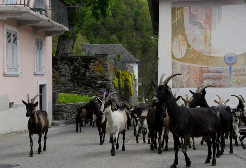 فندق Palazzo Gamboni Swiss Historic