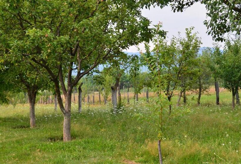 ホテル Pensiunea Koruna