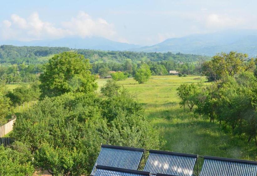 ホテル Pensiunea Koruna