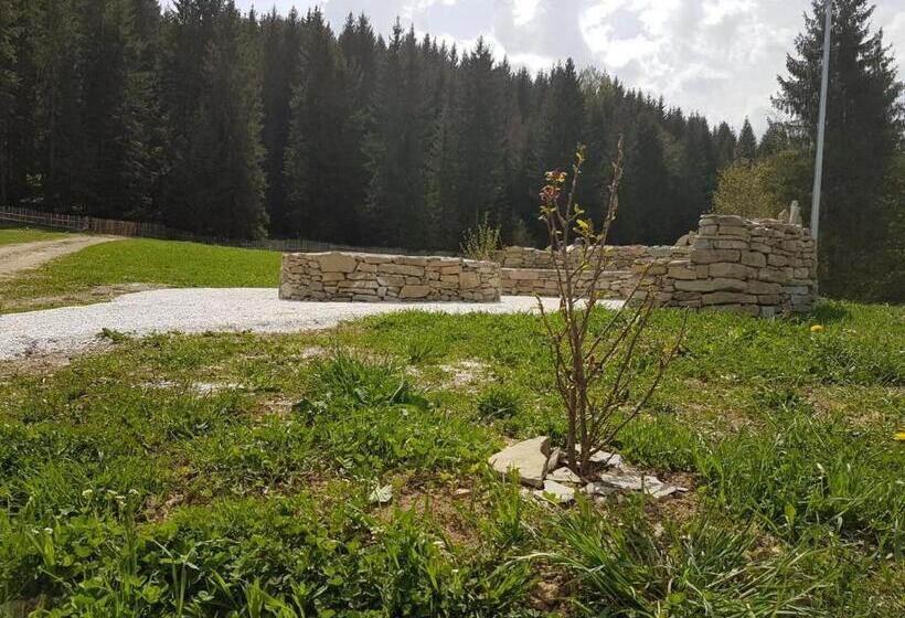 فندق Pensiunea Maria Bucovina