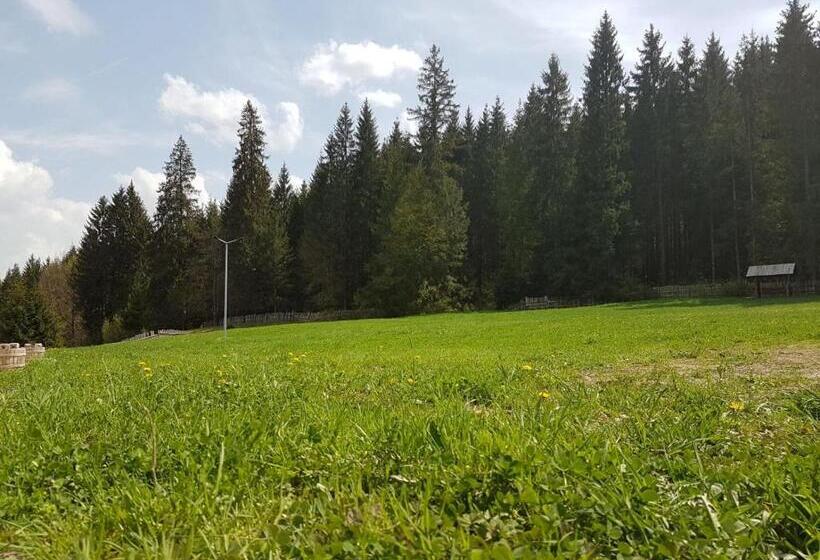 فندق Pensiunea Maria Bucovina