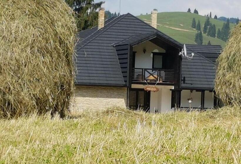 فندق Pensiunea Maria Bucovina