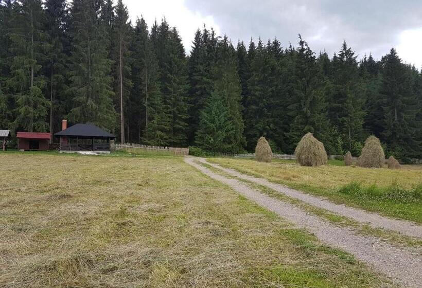 فندق Pensiunea Maria Bucovina