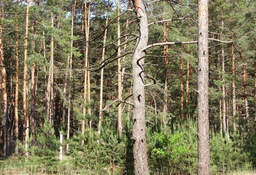 ホテル Pershyi Kordon Tourist Complex