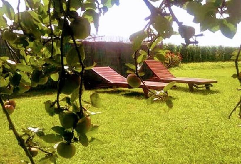 酒店 Rural La Corolla