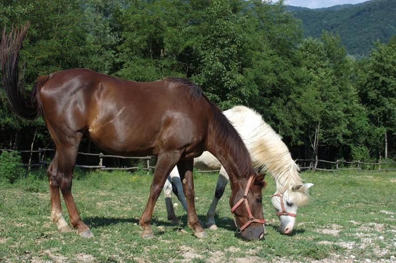 בית מלון כפרי Tenuta Valdomini