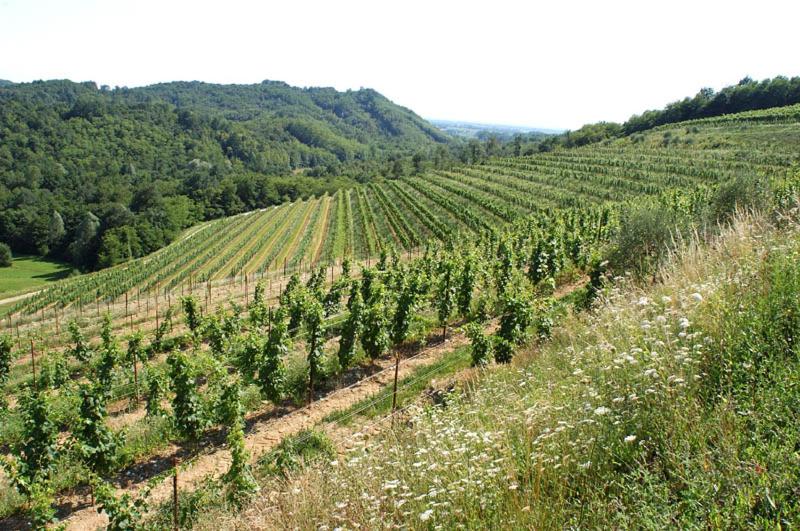 בית מלון כפרי Tenuta Valdomini