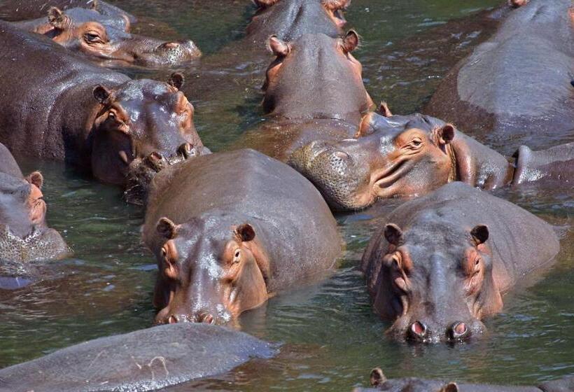 Kosi Bay Hippo Lodge & Resort