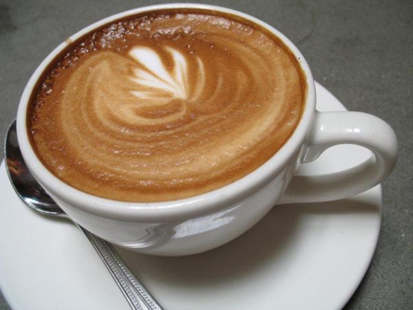 Kosi Bay Hippo Lodge & Resort