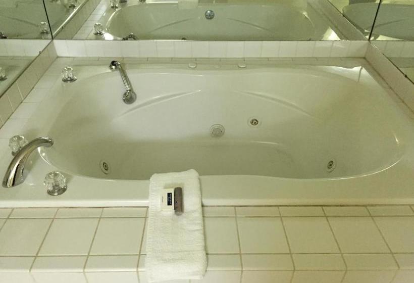 فندق على الطريق Deerfield Inn