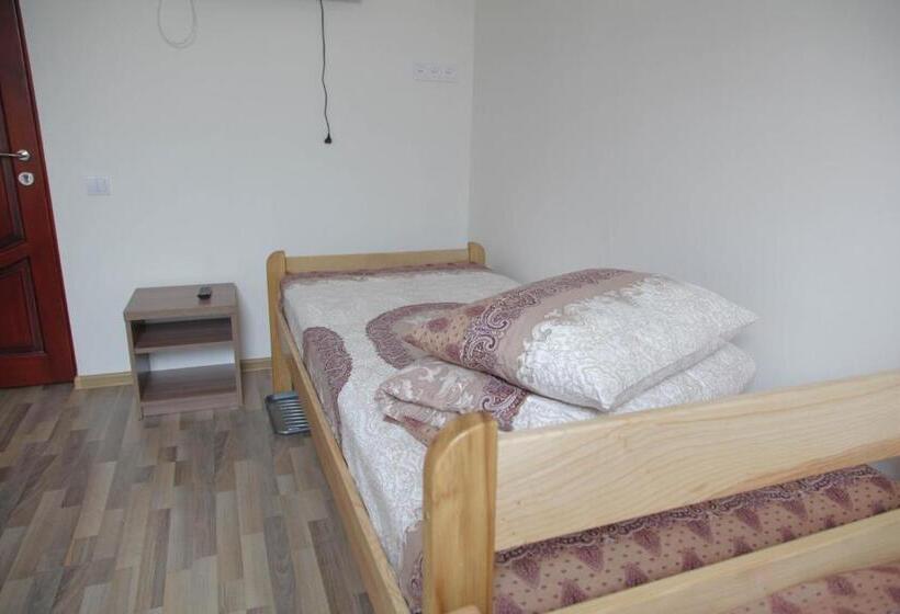 פנסיון Alekselena