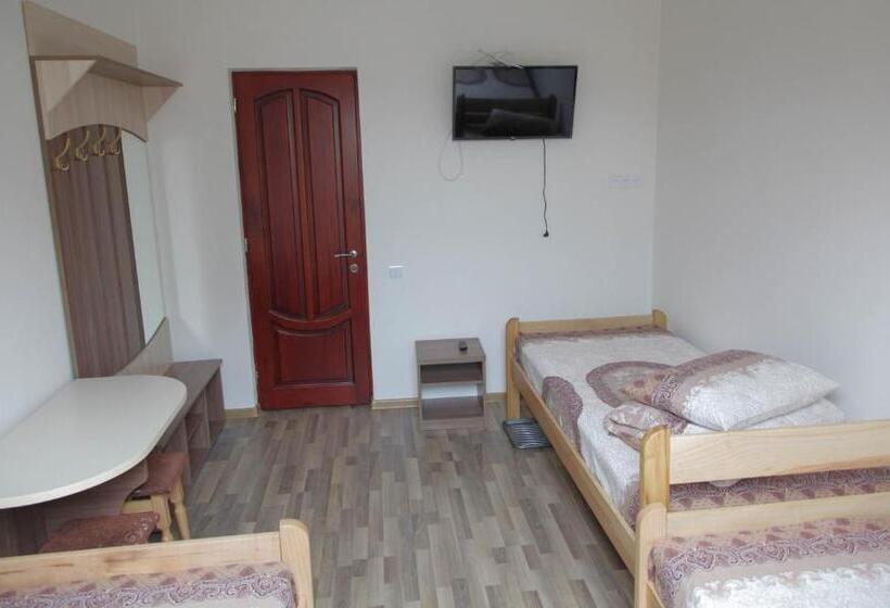 פנסיון Alekselena