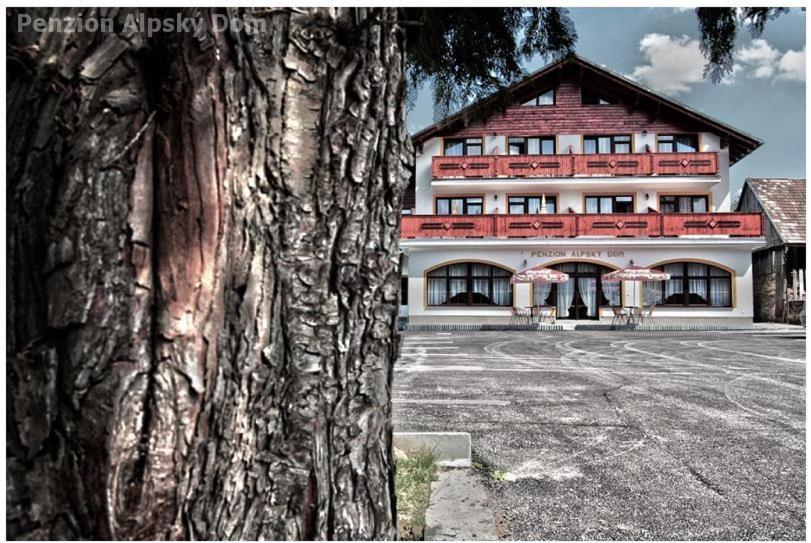 膳宿费 Penzión Alpský Dom