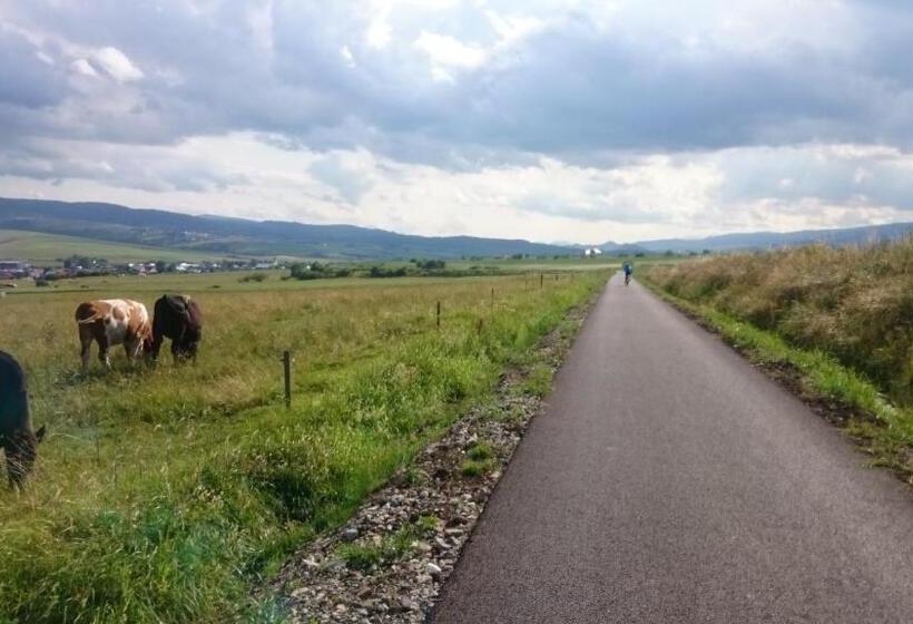 膳宿费 Penzión Alpský Dom