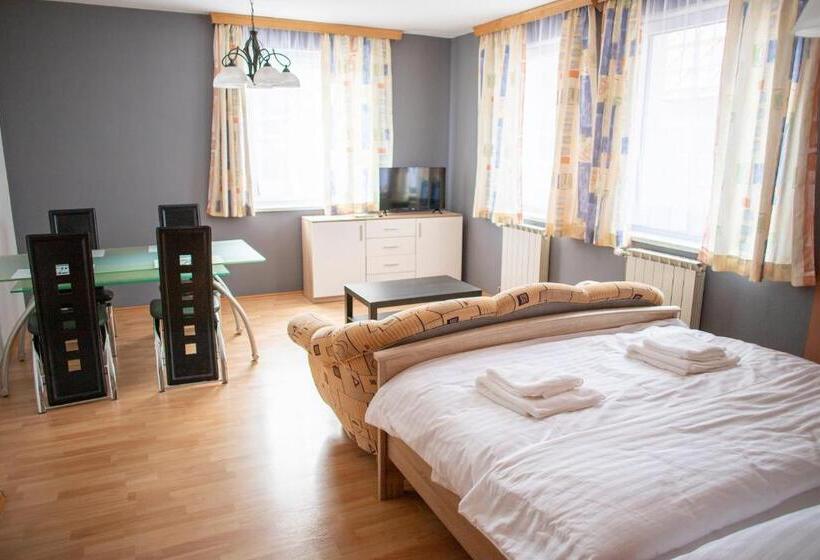 פנסיון Amenity Penzion Horni Vestonice