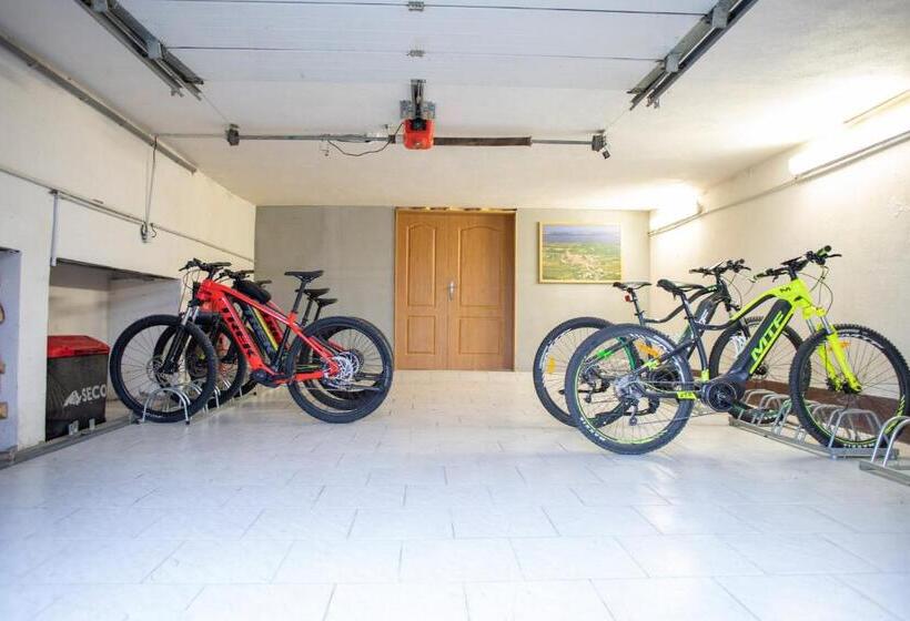 פנסיון Amenity Penzion Horni Vestonice