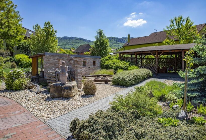 פנסיון Amenity Penzion Horni Vestonice