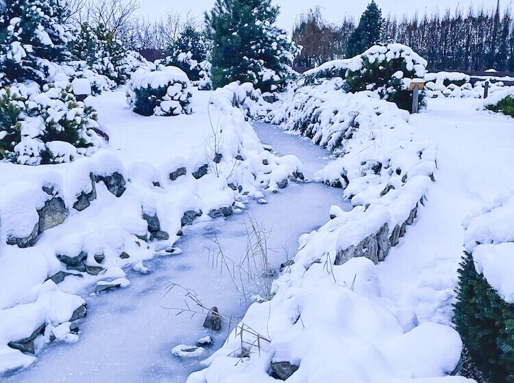 פנסיון Amenity Penzion Horni Vestonice