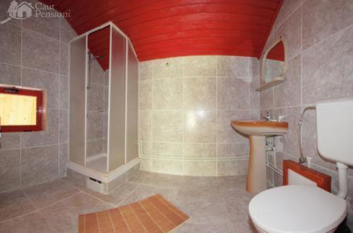 ペンション Barlogul Ursilor Lepsa