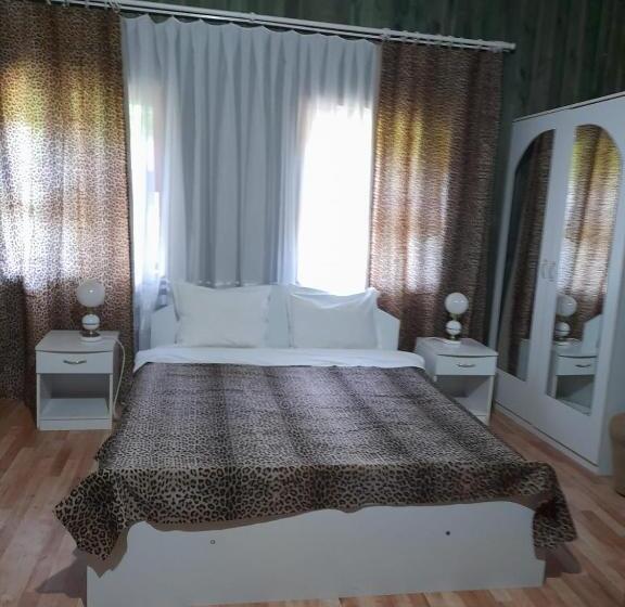 פנסיון Barlogul Ursilor Lepsa