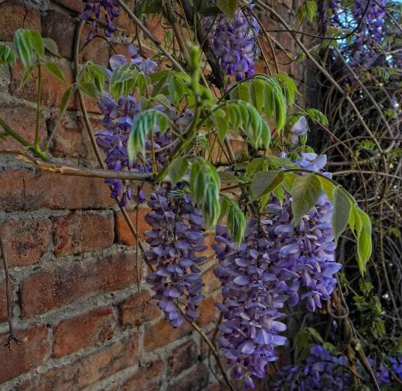 펜션 Boutique Fantasy