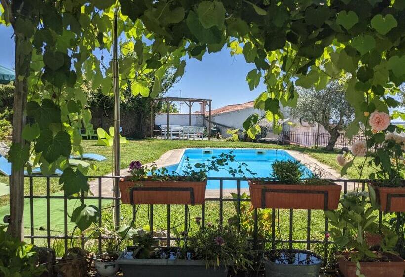 بنسيون Casa Do Forno