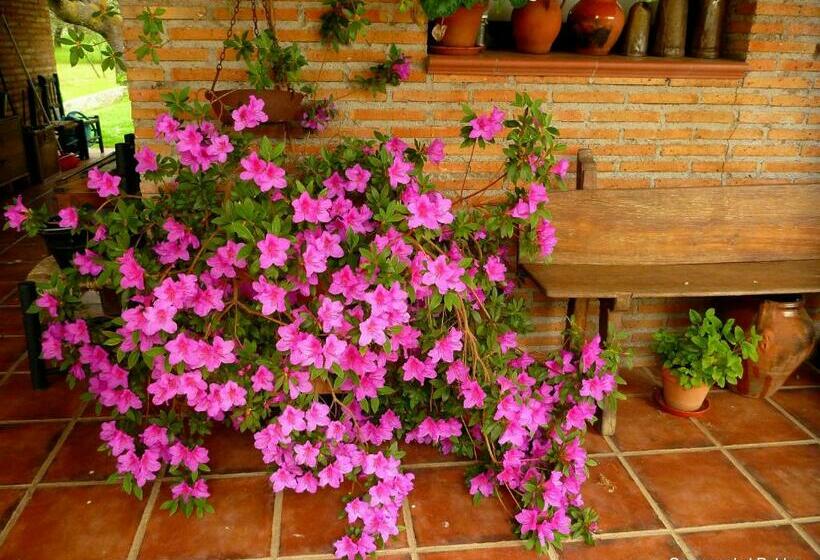 פנסיון Casa Rural El Roblon