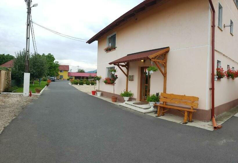 ペンション Cazare La Troita