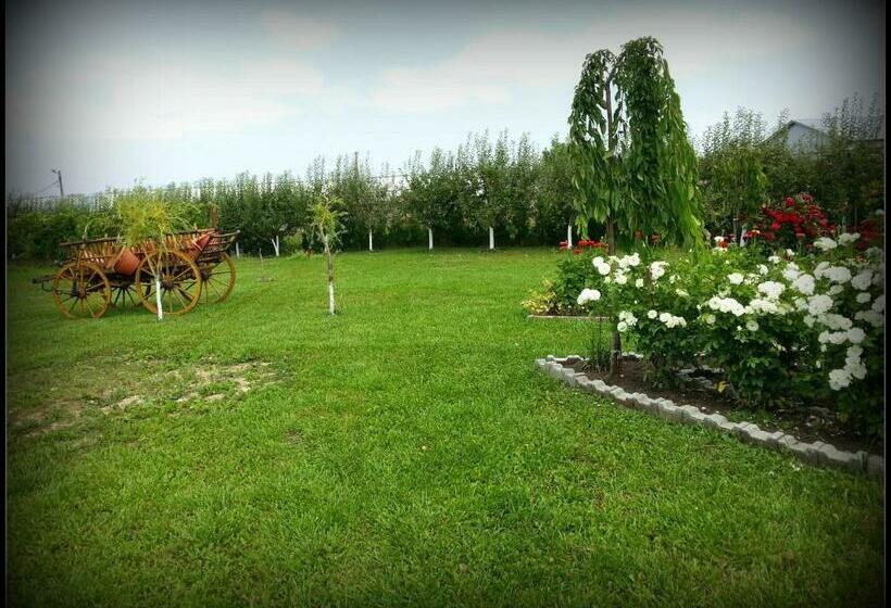 ペンション Cazare La Troita