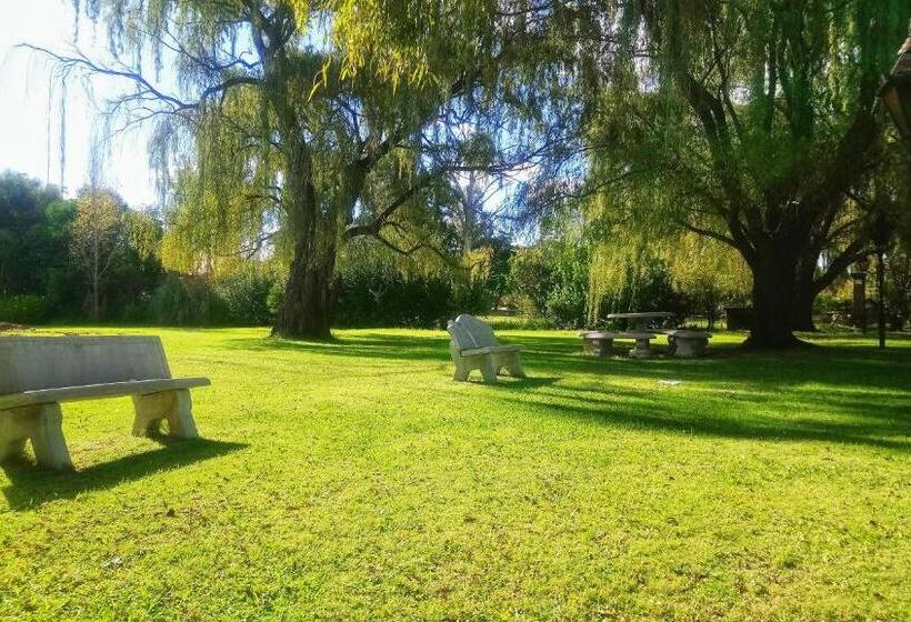 פנסיון Clivia Lodge