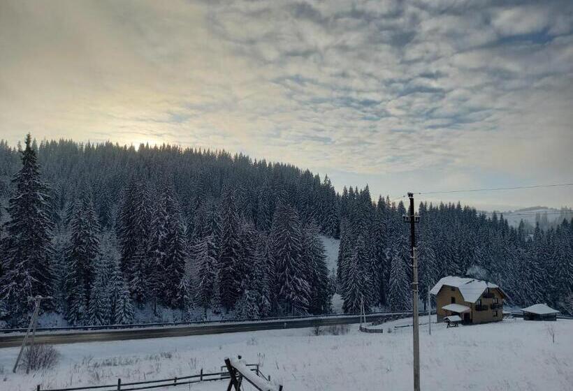 بنسيون Dream House