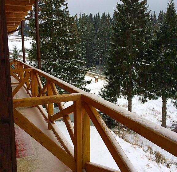 بنسيون Dream House