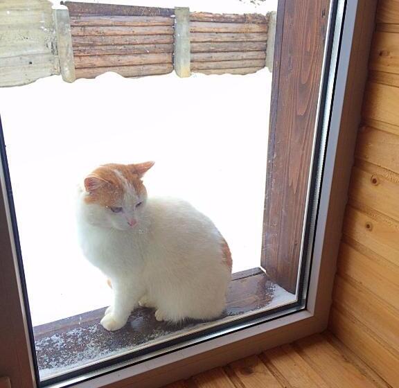 بنسيون Dream House