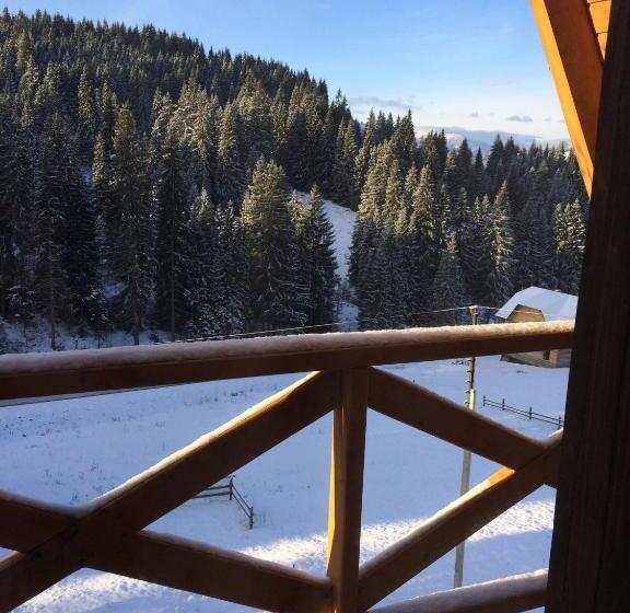 بنسيون Dream House