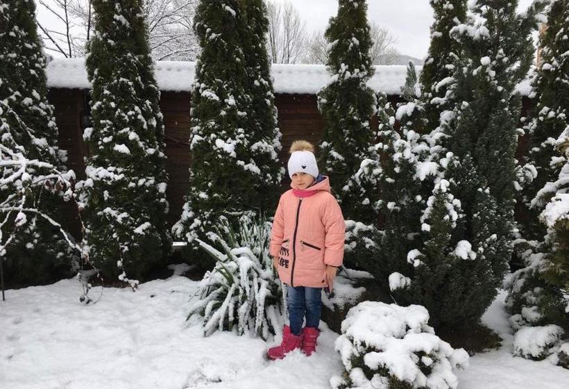 膳宿费 Girskyi Kut