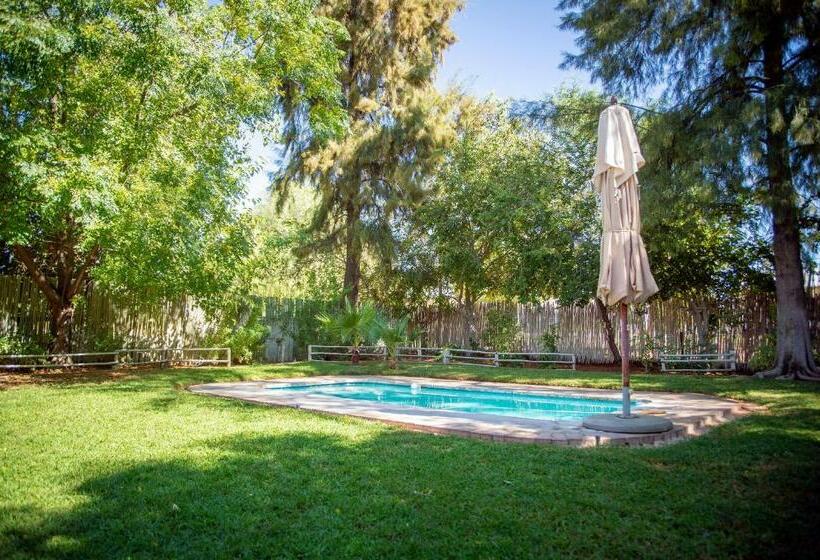 ペンション Kalahari Camelthorn Guesthouse And Camping