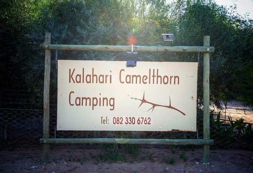 ペンション Kalahari Camelthorn Guesthouse And Camping
