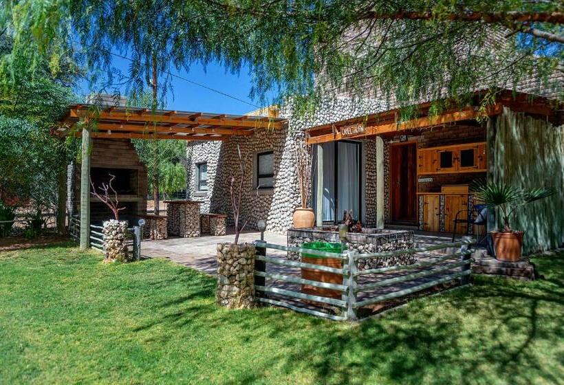 ペンション Kalahari Camelthorn Guesthouse And Camping