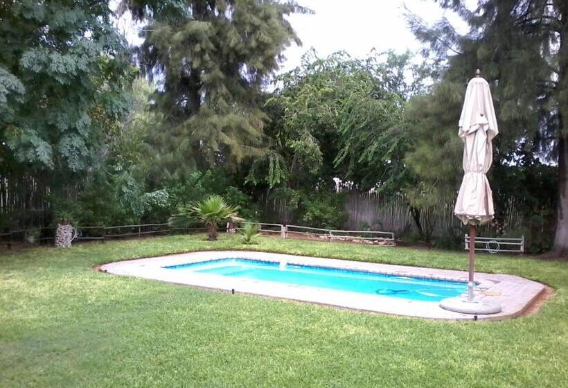 ペンション Kalahari Camelthorn Guesthouse And Camping