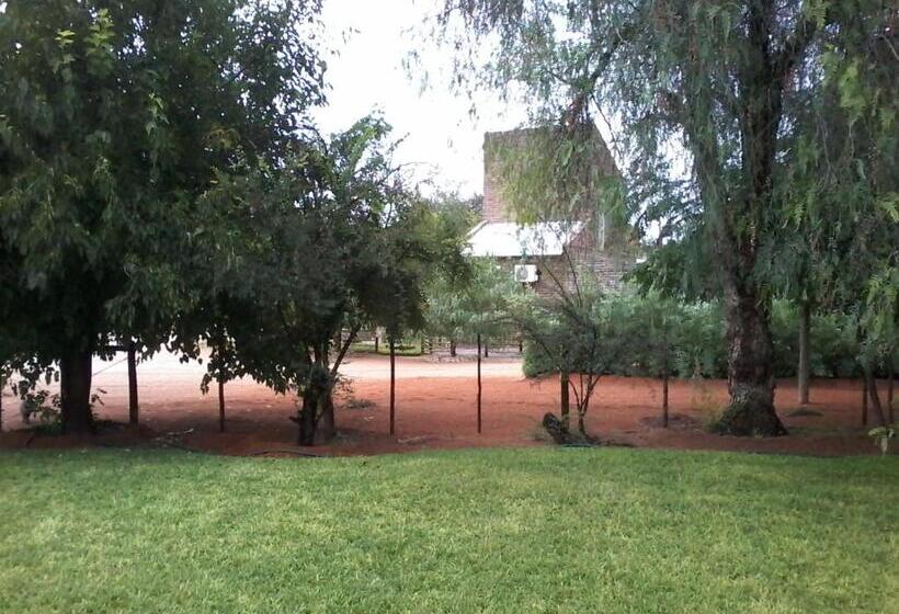 ペンション Kalahari Camelthorn Guesthouse And Camping