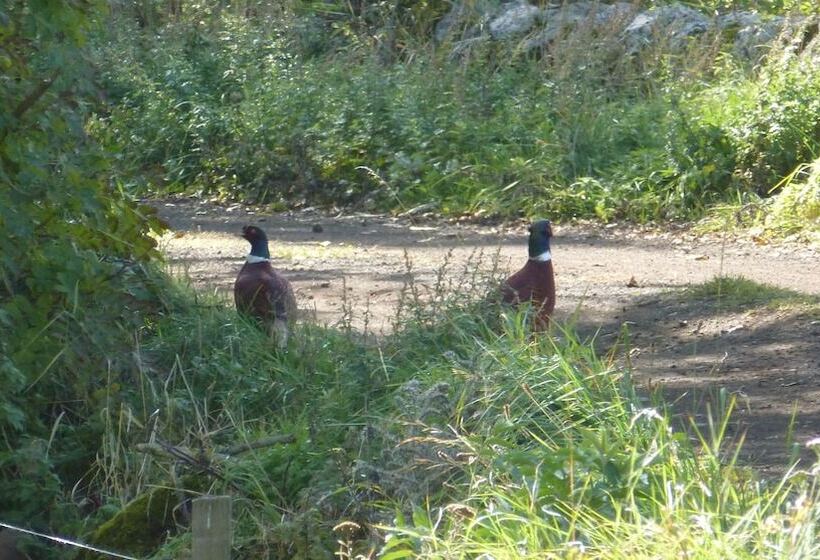 펜션 Le Gite Du Velay