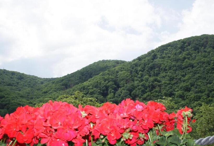 פנסיון Metzgerei Moselgasthof Andries