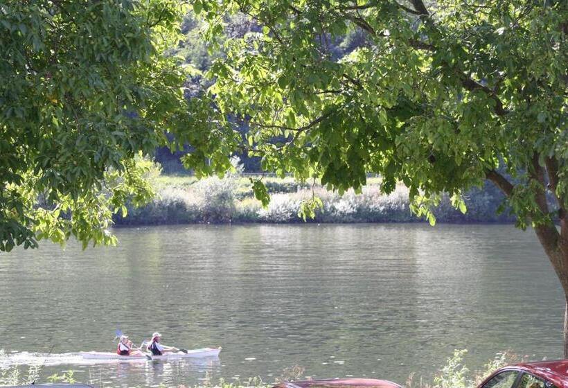 פנסיון Metzgerei Moselgasthof Andries