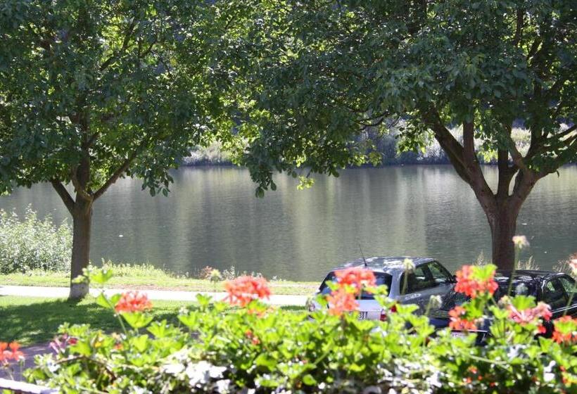 פנסיון Metzgerei Moselgasthof Andries