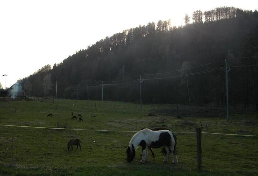 膳宿费 Penzion A Apartmány Skipark Hraběšice